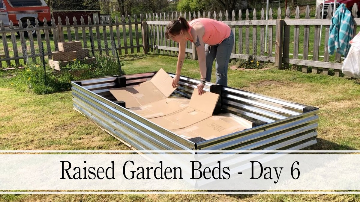 Papírové krabice na záhonu? Proč to zavádějí skleníkáři místo mulče