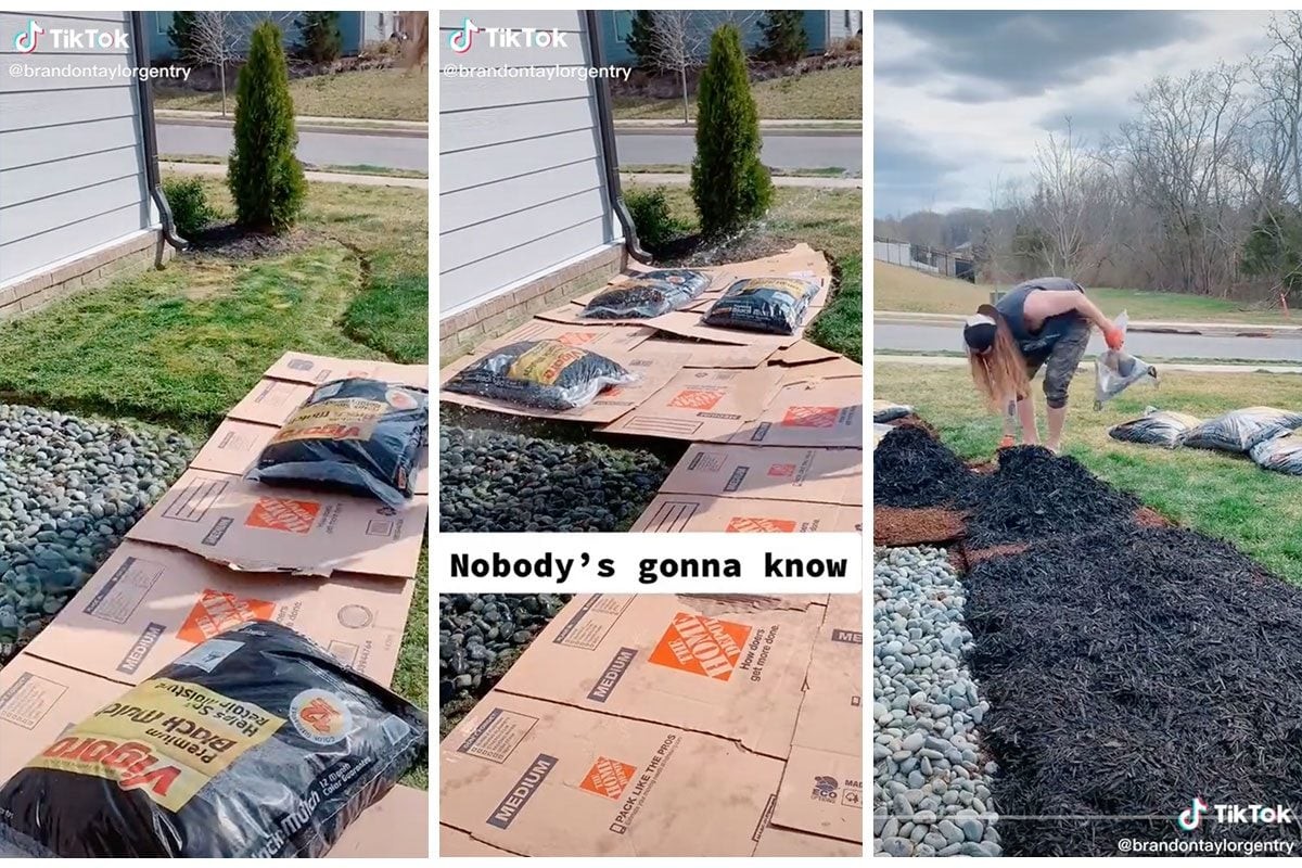 Papírové krabice pod rajčata šetří vodu o 40 procent – jak na to