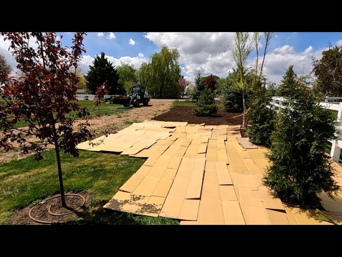 Papírové krabice pod terasu: proč je zahradníci podkládají před zimou