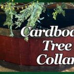 Papírové role do tuzemských záhonů: druhý život, který zbaví vás slimáků