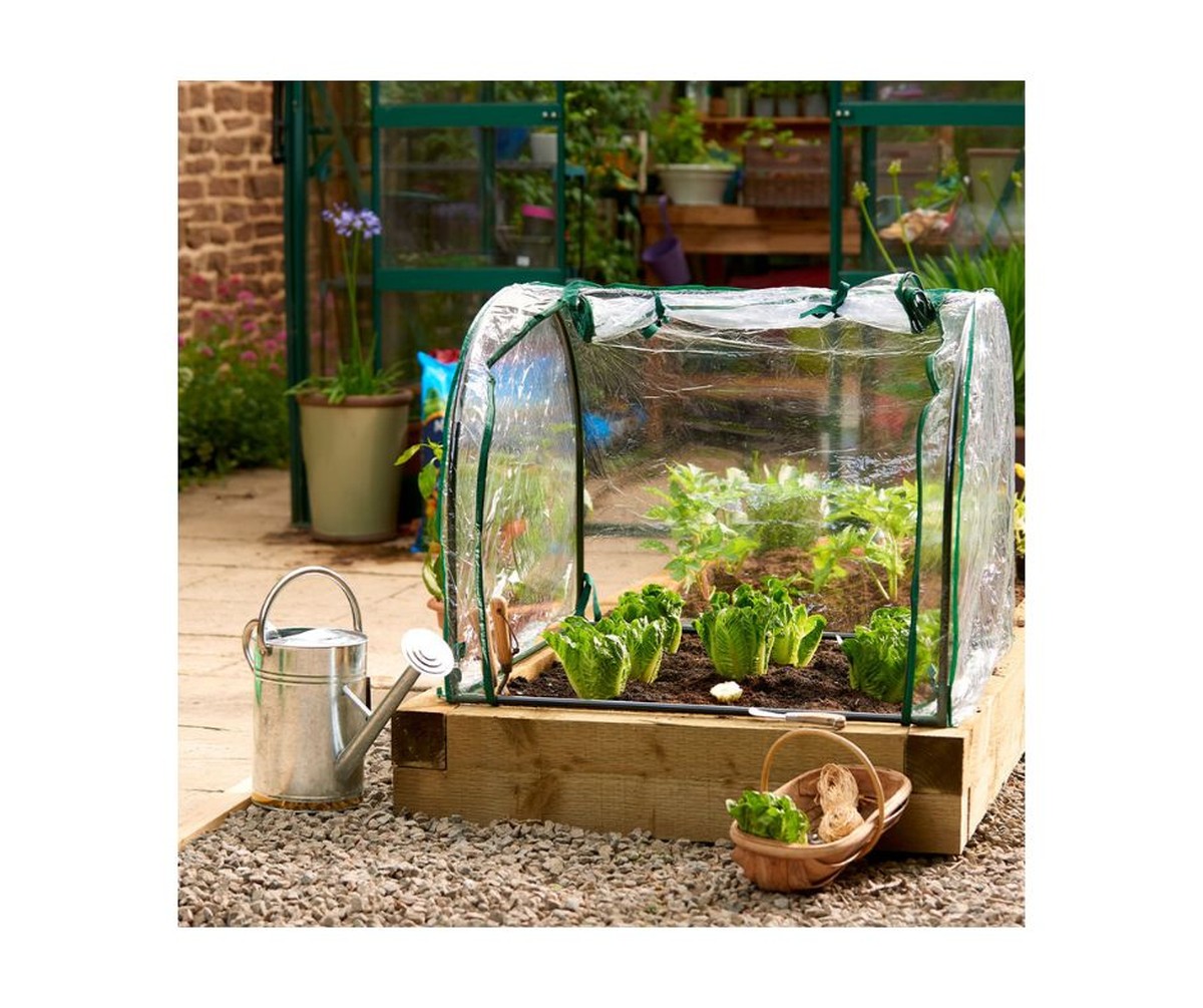 Pěnové obaly od vajec v záhonech: jak zemědělci zdvojnásobují úrodu bez chemie - image 2