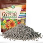 Proč agronom vždy přidává sádrovec do květníků