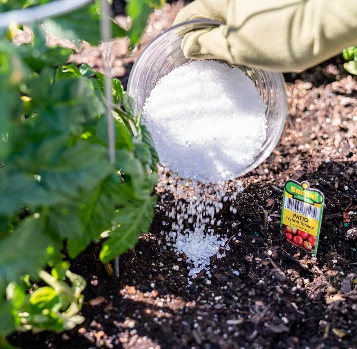 Proč odborní zahradníci vždy sypou sůl do vody na zalévání? Odpověď vás překvapí