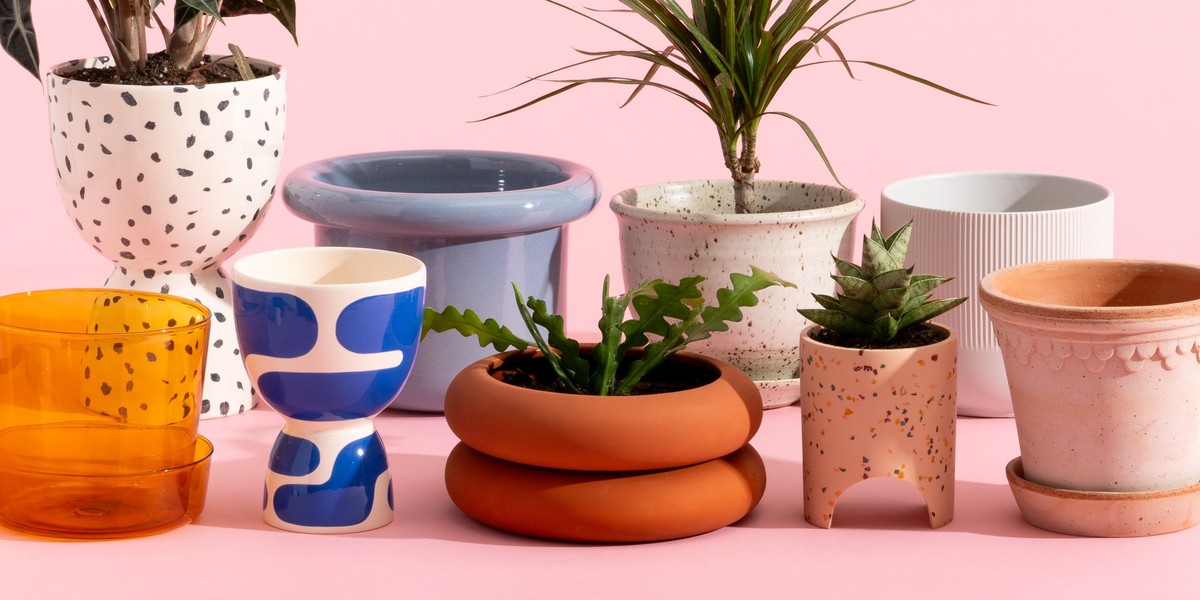 Proč se agronomi drží vzdáleni běžným květináčům – málo vám doma řekli