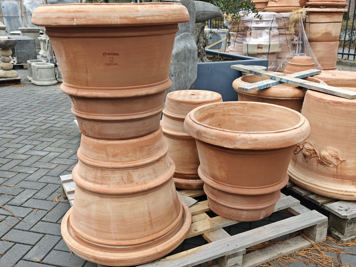 Proč se agronomi drží vzdáleni běžným květináčům – málo vám doma řekli - image 1