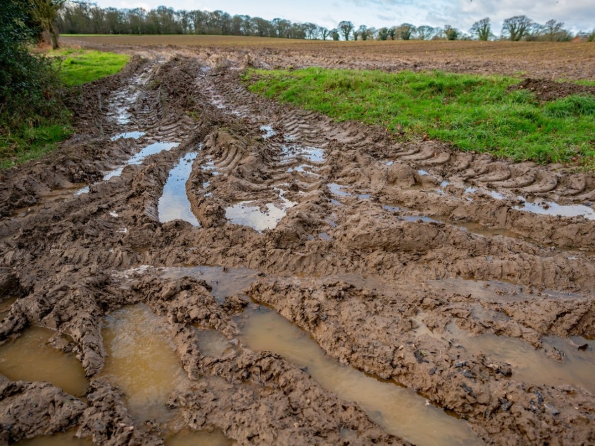 Profesionální zahradníci varují: nikdy nekypřete půdu v tomto počasí