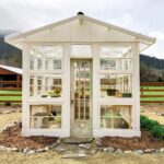 Průhledná fólie na okenní parapety: jak zahrada rostlina přežije mrazy o 40% déle