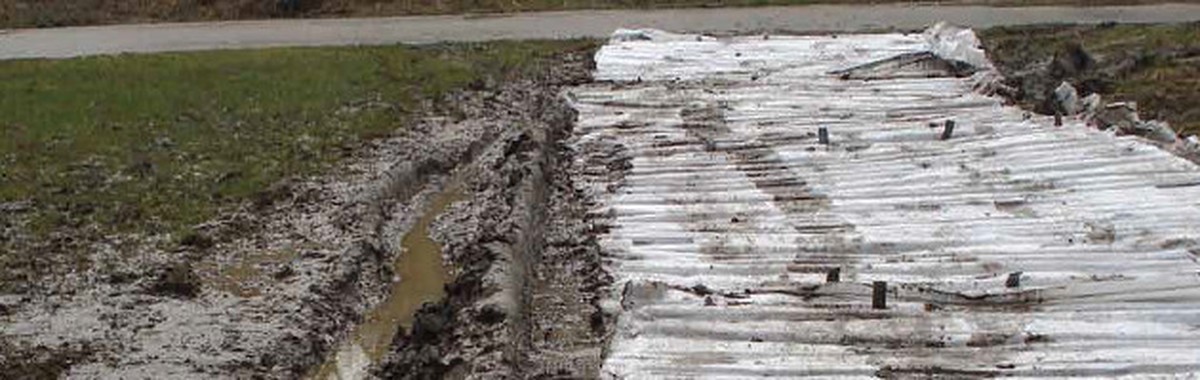 Rohožka u vchodu na zahradě? Položte ji tak, aby se vám vrátila starostlivost - image 2