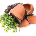 Rozbitý květináč není odpad: tři geniální druhé životy v zahradě