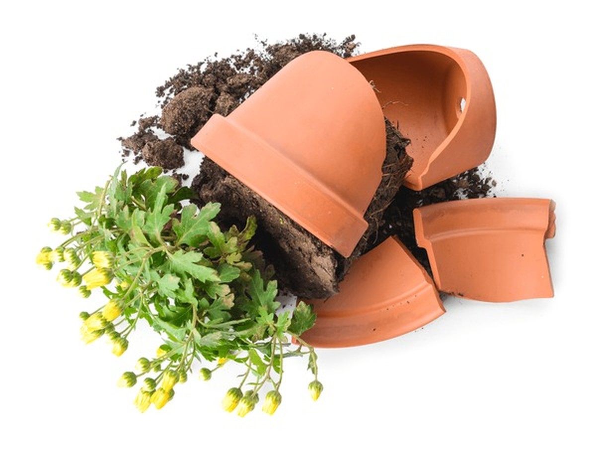 Rozbitý květináč není odpad: tři geniální druhé životy v zahradě