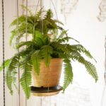 Rozbitý květináč? Pomocí větví a provázku uděláte závěsný květinový koš