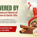 Skořice a česnek против mšic: co používají biodynamické farmy v Čechách