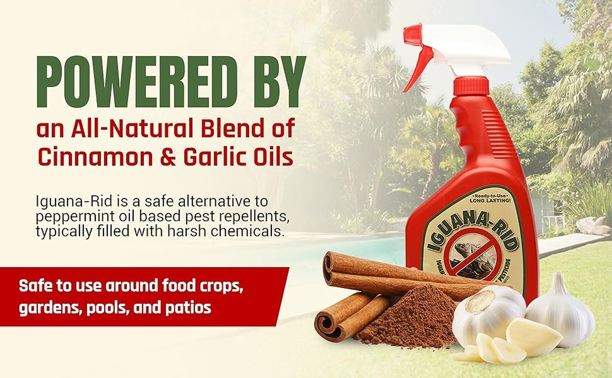 Skořice a česnek против mšic: co používají biodynamické farmy v Čechách