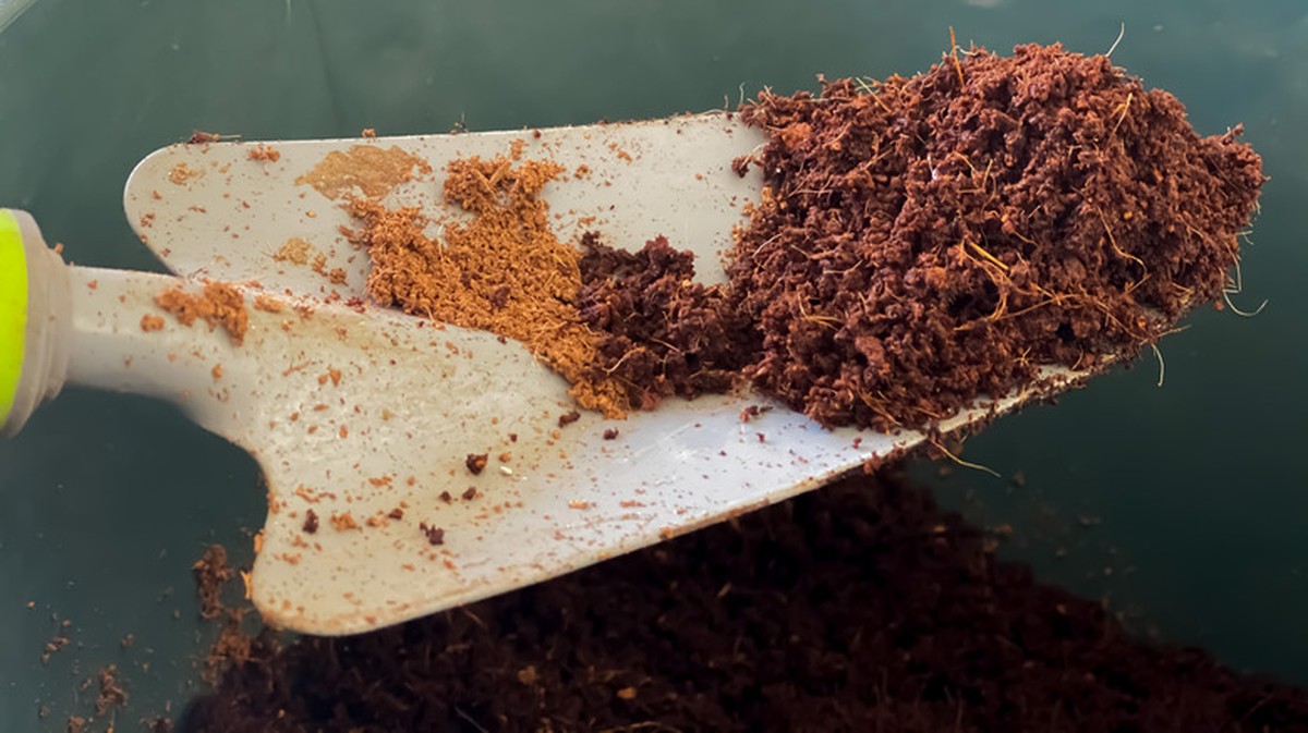 Skořice na hnoji: proč ji zahradníci přidávají do každého kyblíku - image 2