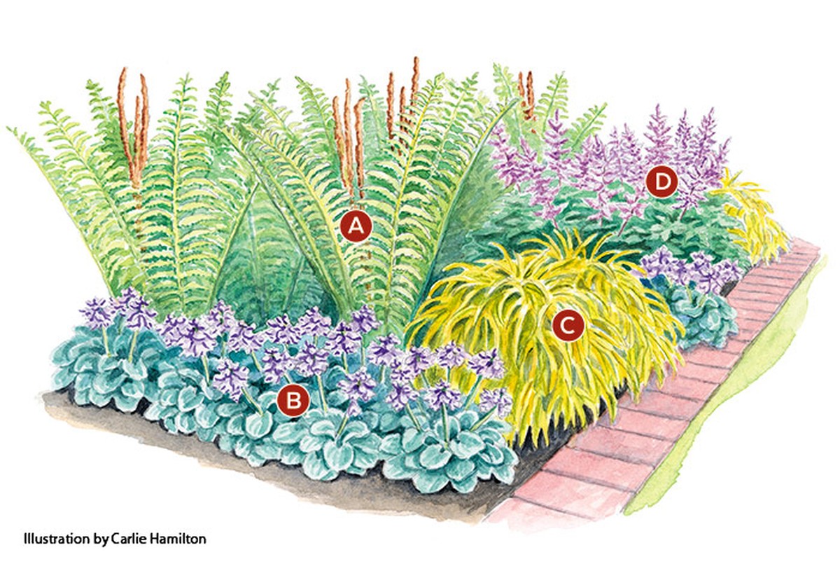 Skořice na okrajích záhradních záhonů: Jednoduché řešení proti mouchám a mravencům - image 1