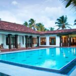 Skořice na okraj záhonu – přirozená zbraň proti slimákům za 20 korun