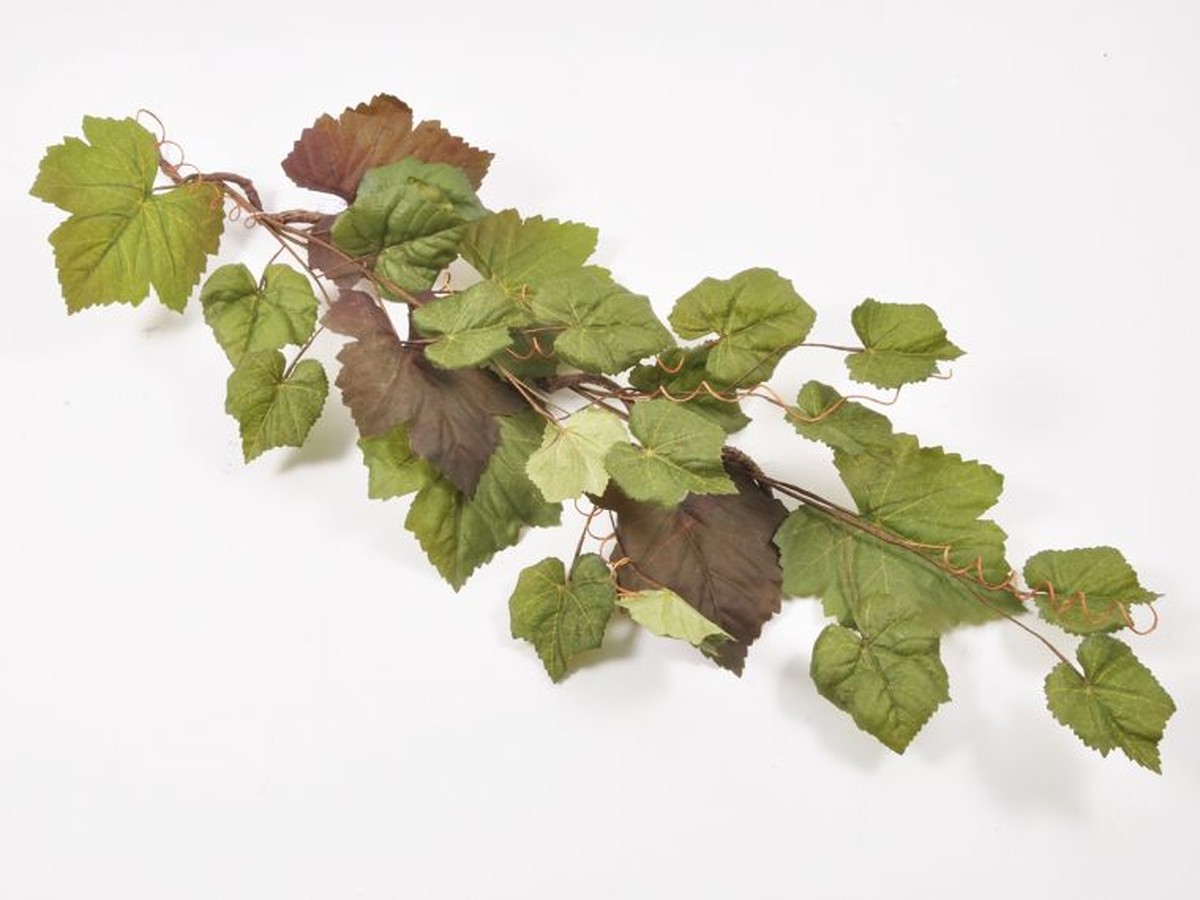 Soda bikarbona na listy: proč French vinaři přidávají tento prášek mezi své nejcenější recepty - image 2