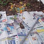 Staré noviny pod záhon? Chemie, kterou zemědělci skrývají