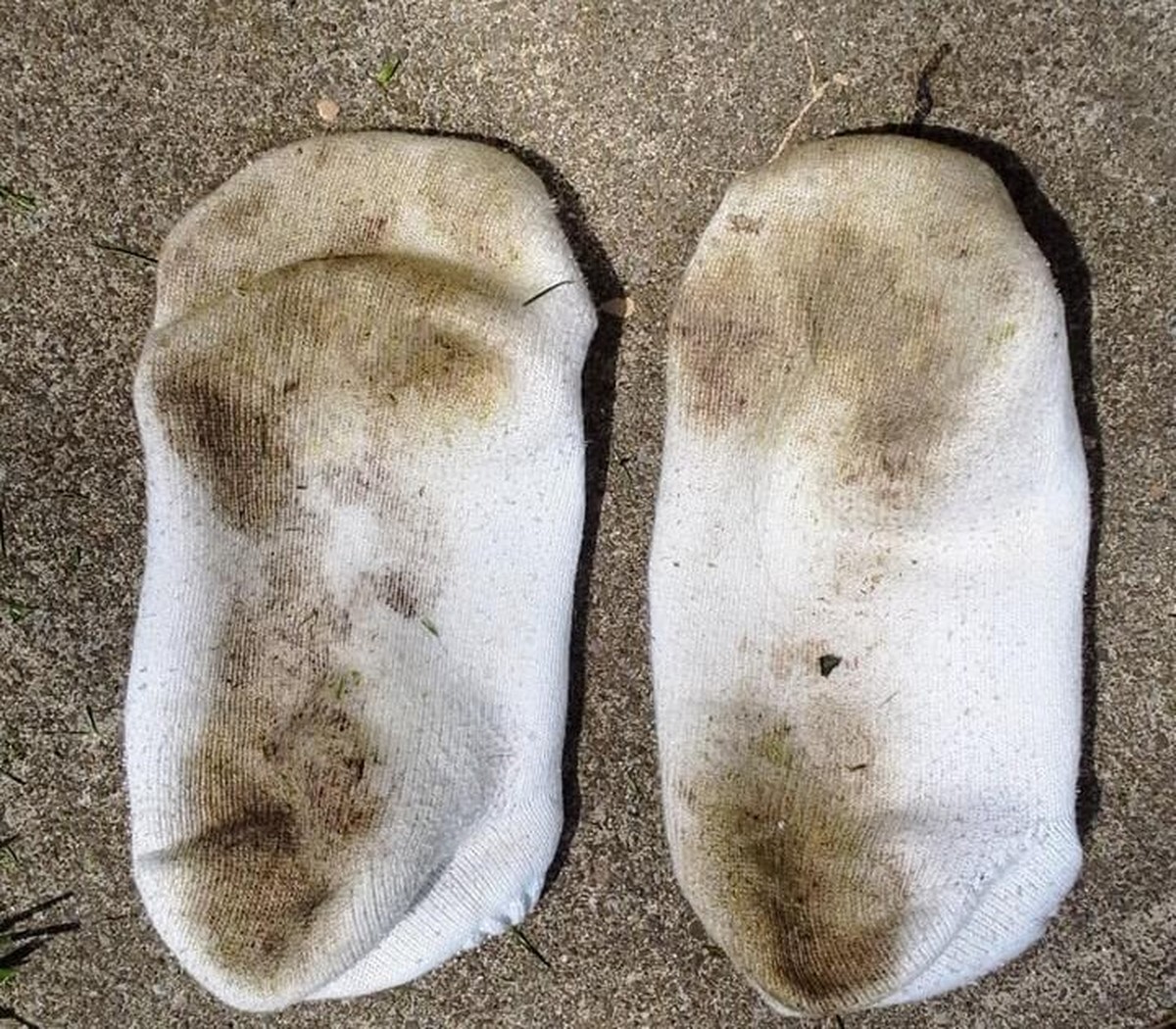 Staré ponožky plné zeminy? Nejlepší způsob, jak zachránit semínka - image 1