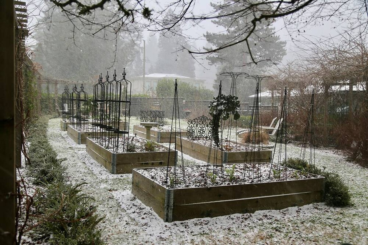 Starý kabát jako izolace záhonu? Zahradníci to dělají již 200 let - image 2