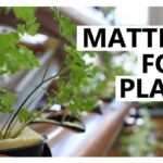 Starý molitan jako součást zeminy: půlkulturní secret místních zahradníků