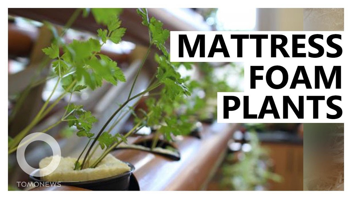 Starý molitan jako součást zeminy: půlkulturní secret místních zahradníků