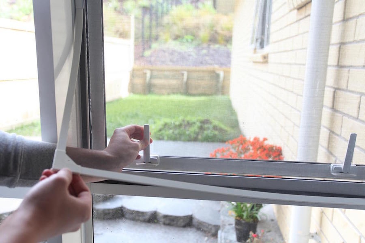 Starý punčoch přes nádobu se semeny: jednoduchý způsob, jak zastavit mraky hmyzu - image 2