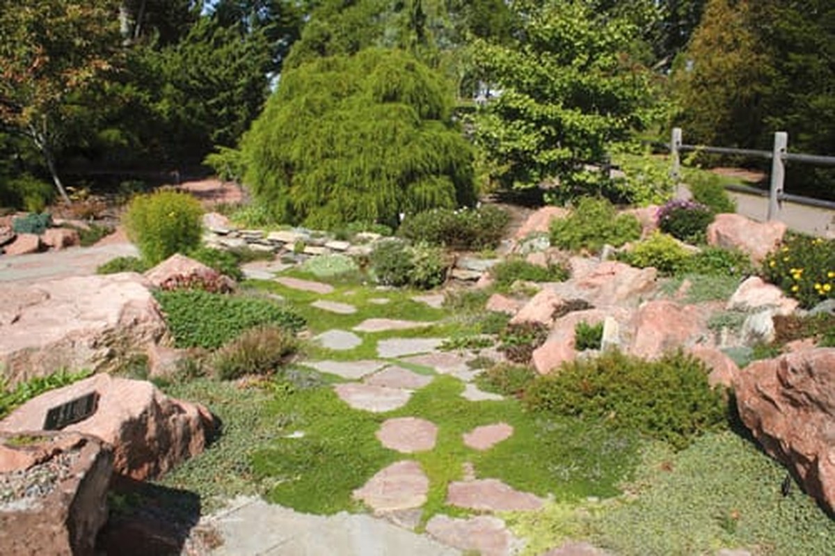 Sůl na cestách mezi záhony: levnější než herbicidy a funguje stejně dobře - image 2