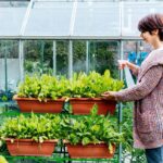 Truhla od starého nábytku se stane miniaturní skleníkem na bylinkách