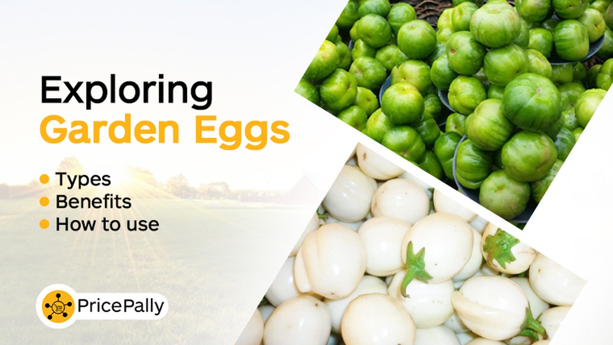 Vejce ve vaší zahradě změní všechno. Vědí to staří zahradníci - image 1