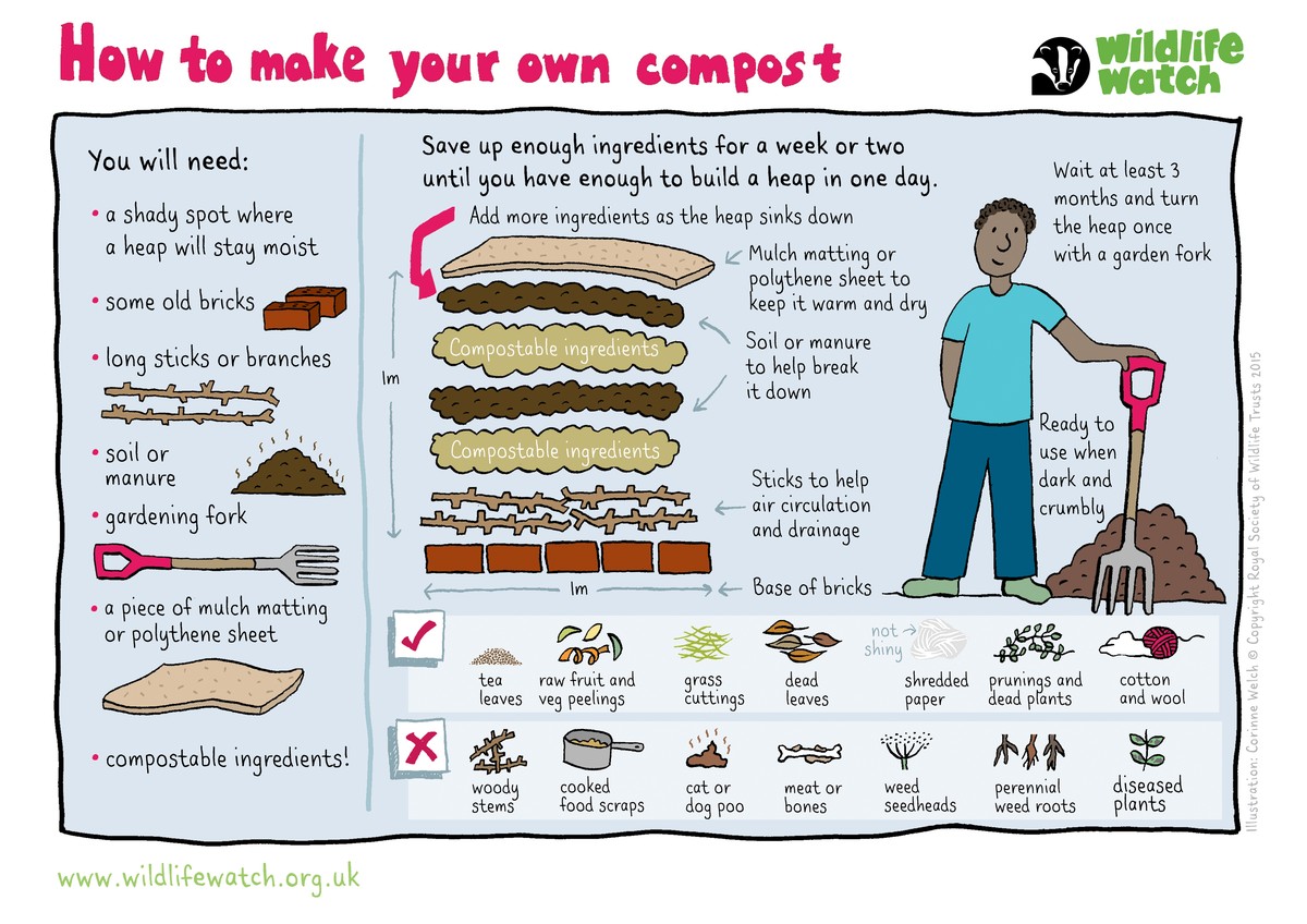 Vejce v kompostu zrychlují růst. Co věří jen staré zahrádkáře? - image 2