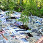 Vlhký noviny pod mulčem: Levný trik proti plevelům, který vás překvapí