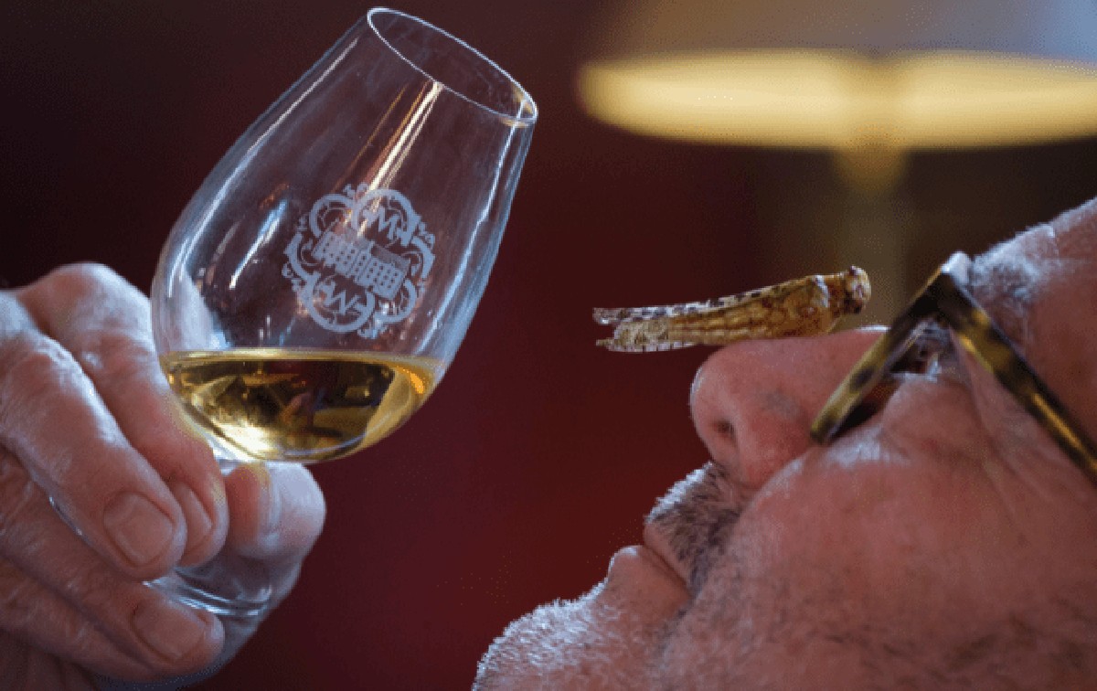 Whisky v postřiku proti hmyzu. Proč to funguje lépe než značková řešení