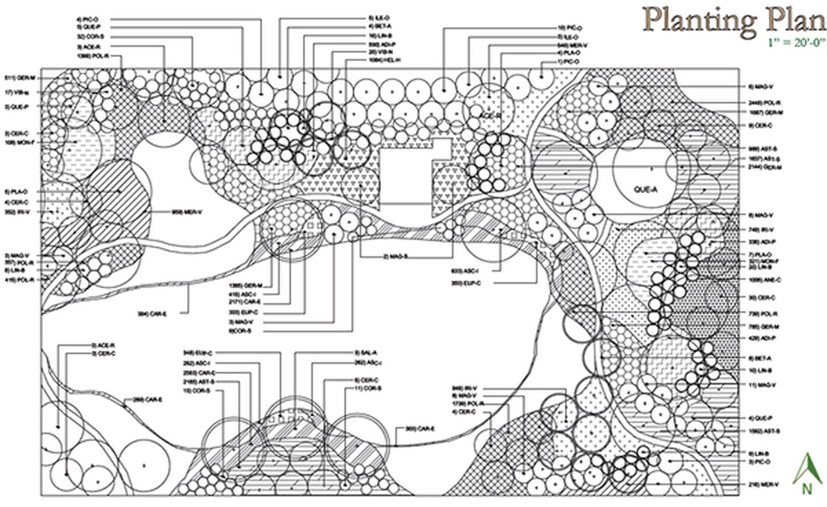 Zahradní architekti zjevují: tři chyby, které každý dělá při plánování záhonu - image 2