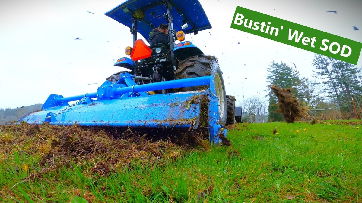 Zahradníci odhalují: nikdy nekypřte půdu těsně před deštěm - image 1