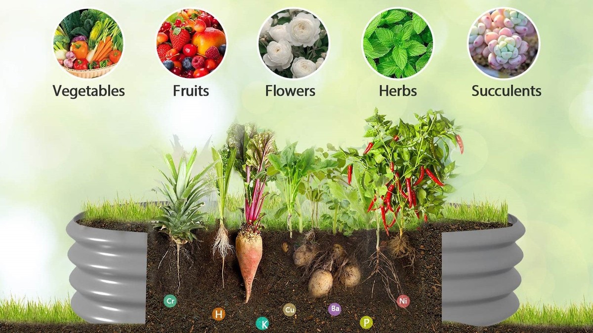 Zahradníci vám nikdy neřeknou: proč kopou díry před sázením do hloubky právě 30 cm - image 1