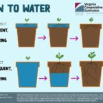 Zahradníci varují: Nikdy nezavlévejte rostliny v těchto hodinách, jinak je ztratíte