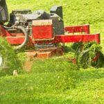 Zahradníci varují: nikdy nemlčte trávu mokrou – důvod vás překvapí