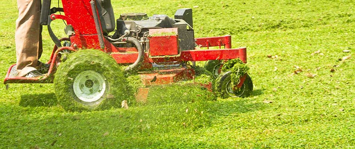 Zahradníci varují: nikdy nemlčte trávu mokrou – důvod vás překvapí