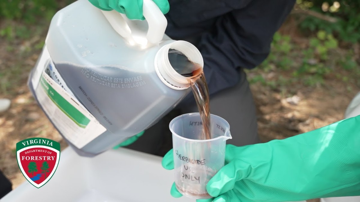 Zahradníci varují: nikdy nekombinujte tyto dva herbicidy dohromady - image 1