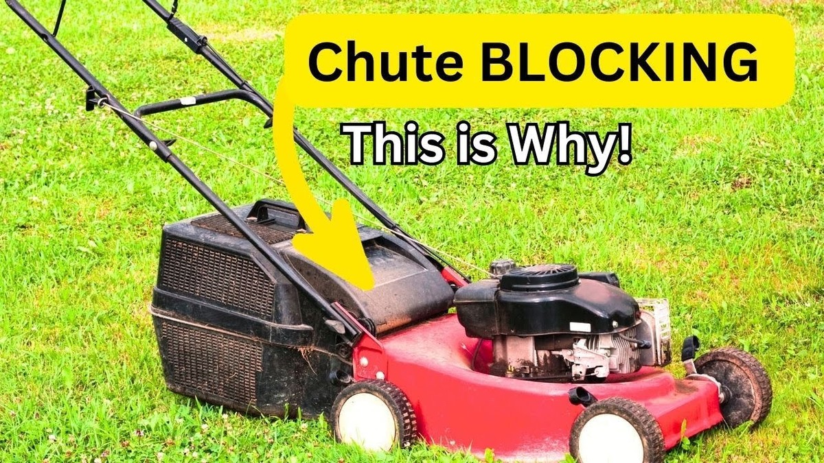 Zahradníci varují: nikdy nemlčte trávu mokrou – důvod vás překvapí - image 1