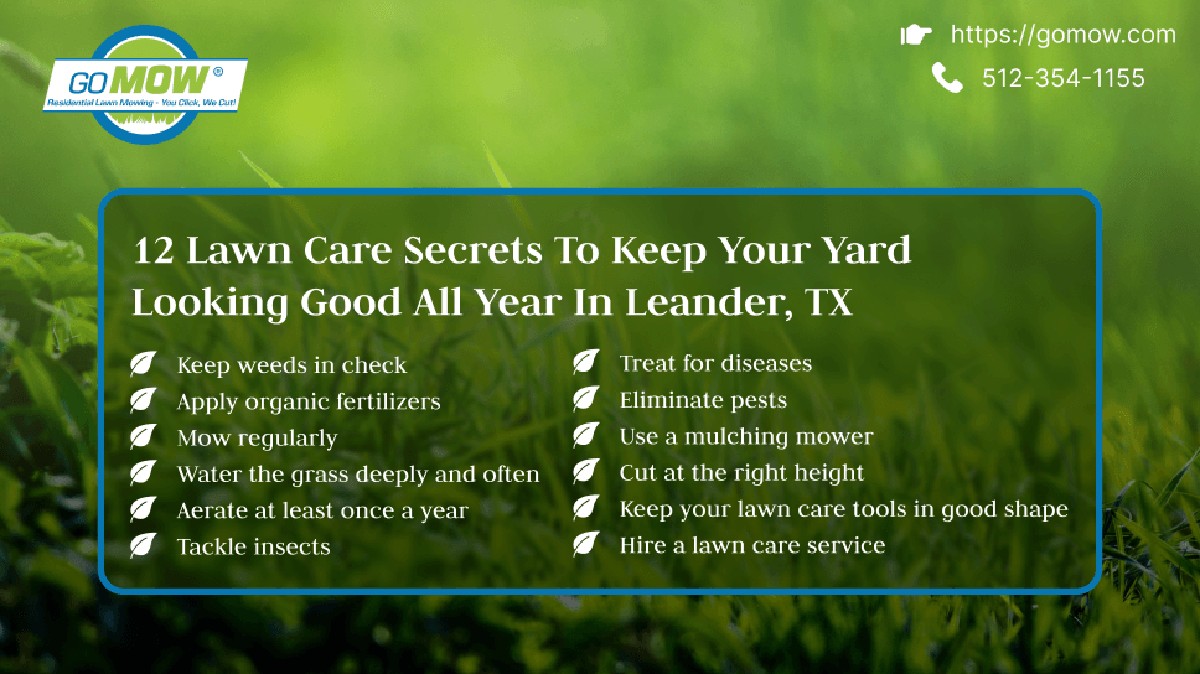 Zahradníci varují: nikdy nemlčte trávu mokrou – důvod vás překvapí - image 2