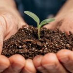 Zemědělci признают: jediná chyba při přípravě půdy na jaře