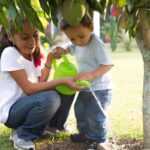 Arboristé odhalují: jeden omyl vám zabije strom za měsíc