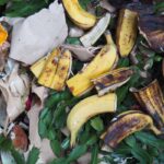 Banana peel jako hnojivo. Proč ho předává jeden zahradník druhému