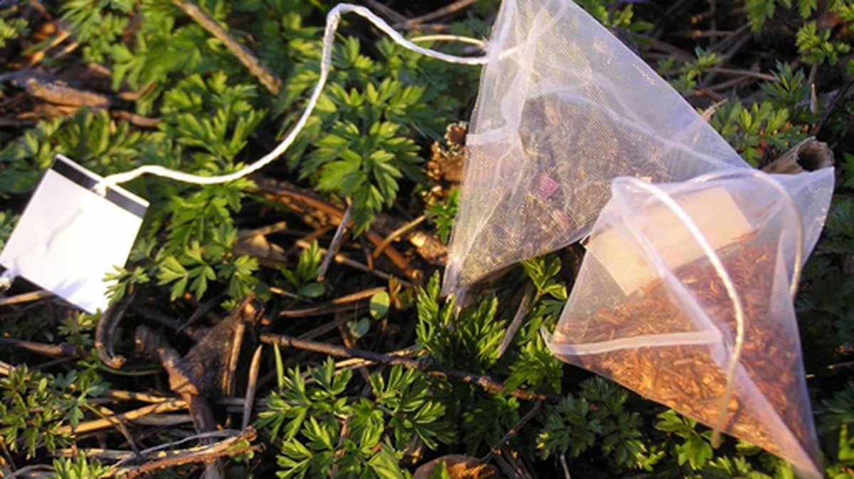 Čajové sáčky v půdě: Zahrádkáři vědí, co se děje pod zemí - image 2