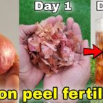 Cibulové slupky kolem salátu? Zastaví slimáky lépe než pivo