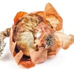 Cibulové slupky v kompostu? Proč to přitahuje méně škůdců než vy čekáte