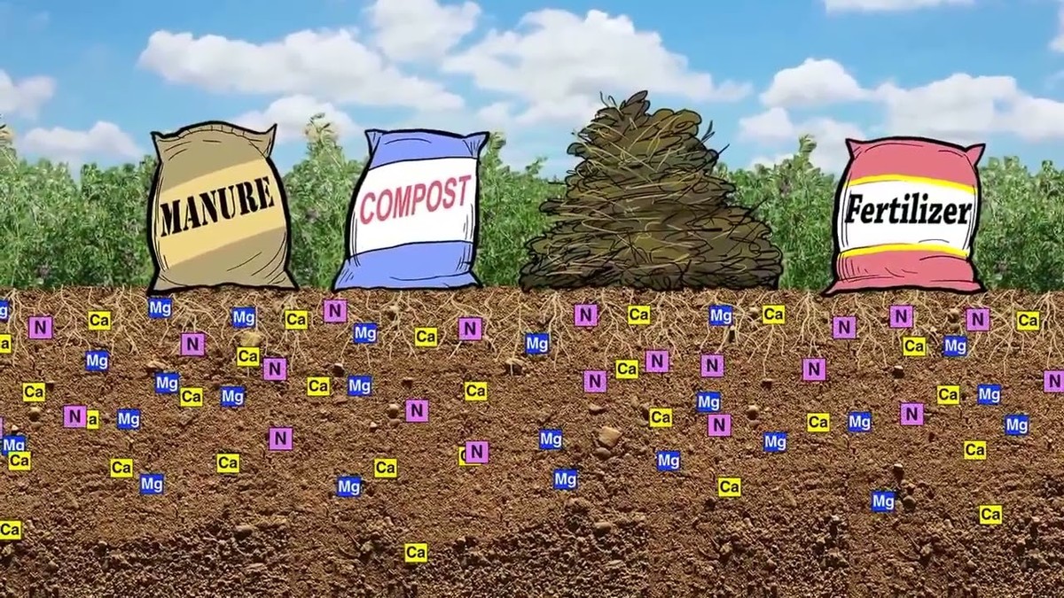 Co botanici dělají s půdou v březnu, co my ještě netušíme