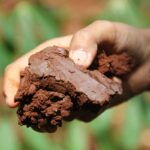 Co vám doporučí každý exprt na půdu: překvapivá pravda o hlinitém složení